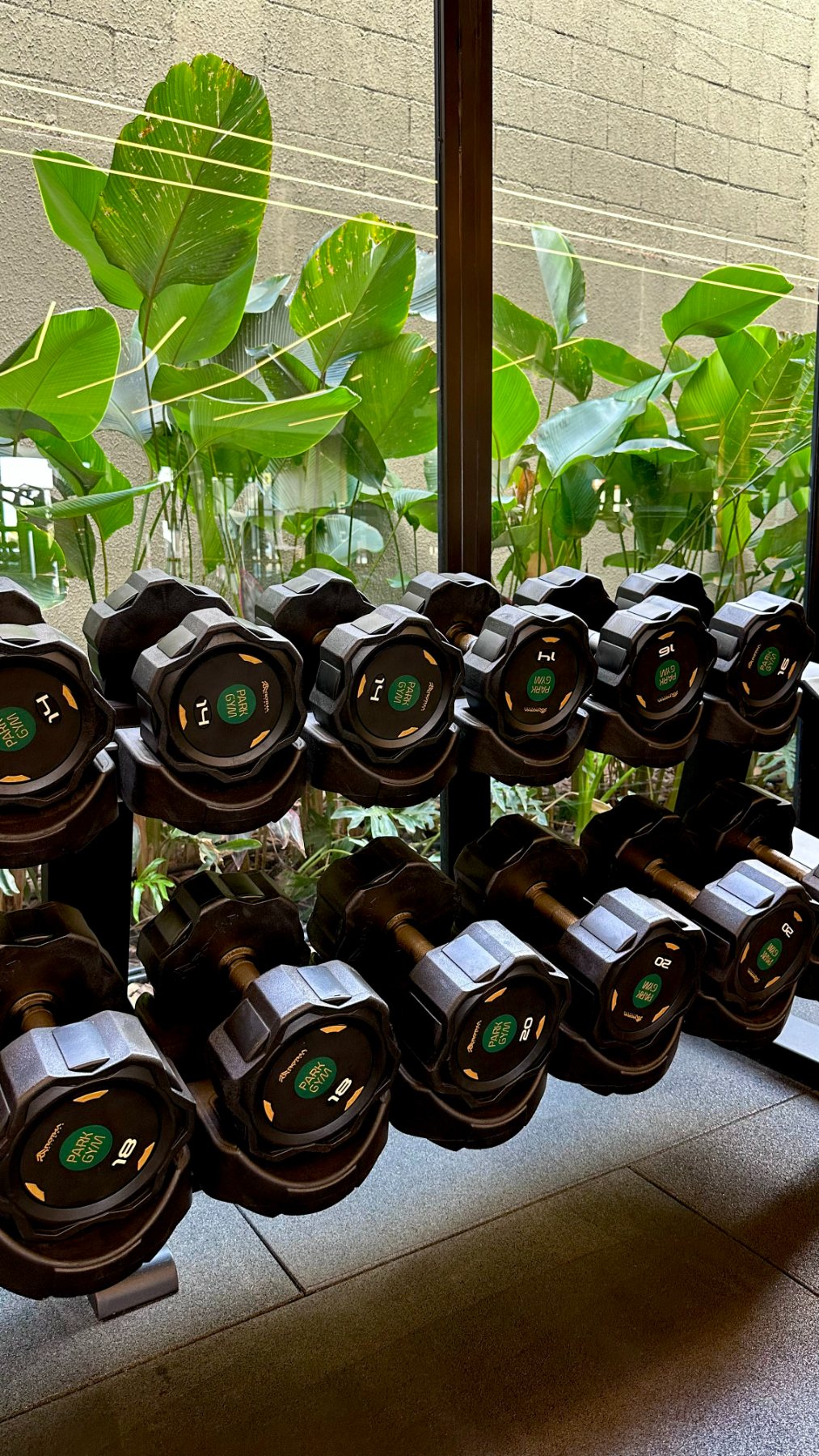 Musculação